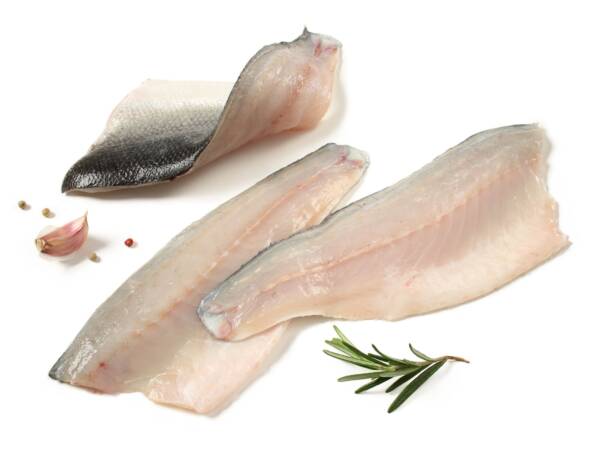 FILETTI DI BRANZINO 120/160 5KG