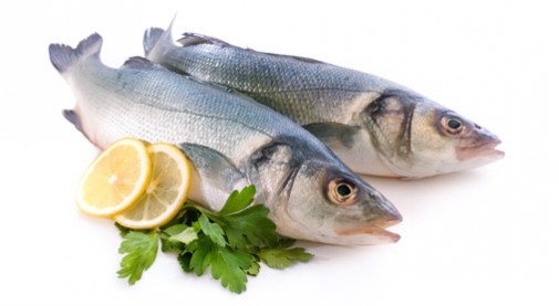 BRANZINO INTERO 5KG SQ./EVISCERATO