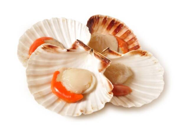 CAPPESANTE 1/2 GUSCIO 5x1 KG