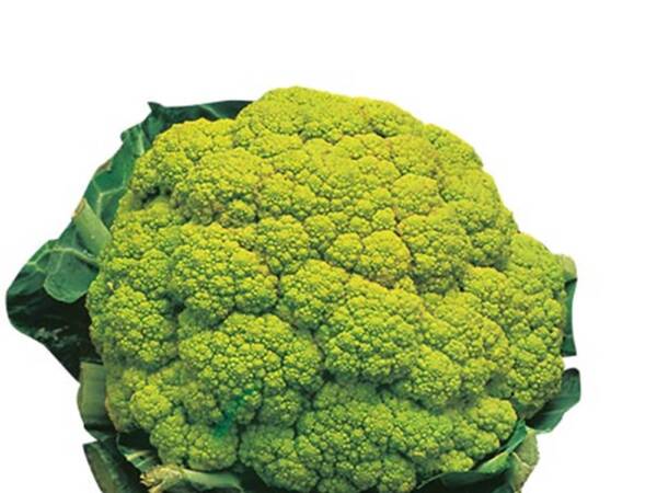 CAVOLFIORE 10x1KG