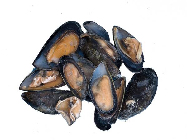 COZZE C/GUSCIO 10X500GR