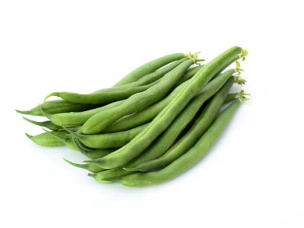 FAGIOLINI FINISSIMI "GP" 10x1KG