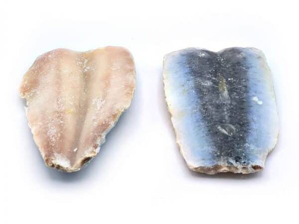 FILETTI DI SARDINE VASCHETTA 8x1KG