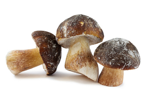 FUNGHI PORCINI INTERI 5x1KG