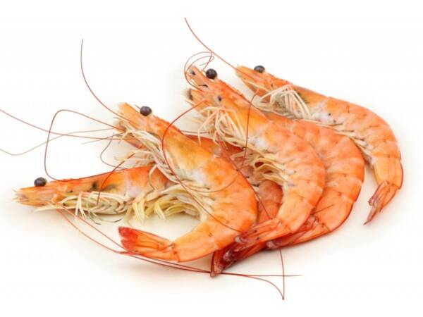 GAMBERO 50/70 10x500 GR