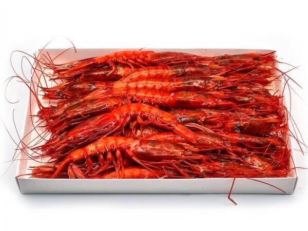 GAMBERO MOZAMBICO L 12X800GR