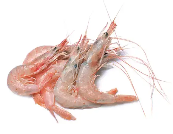 GAMBERO ROSADO 10X1KG