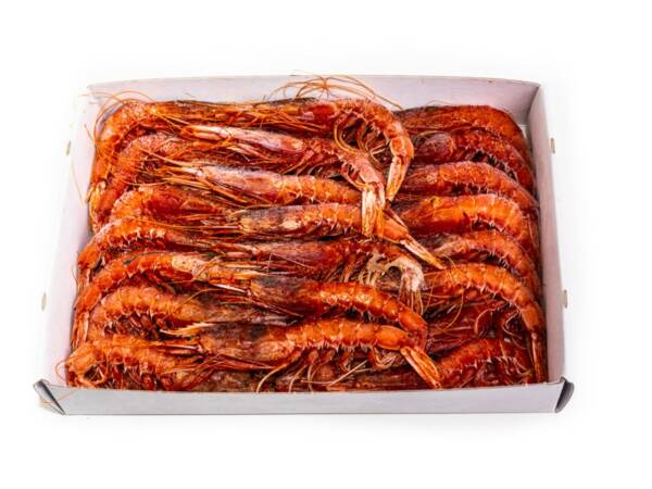 GAMBERONE I MAZARA KG 1