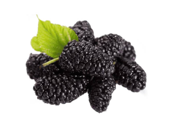 MORE DI GELSO 2X2,5KG