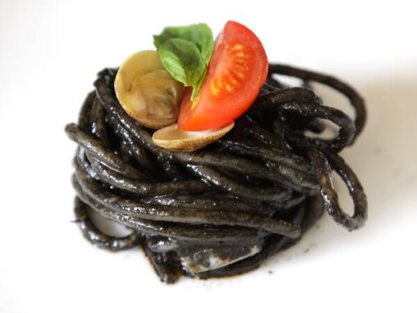 NERO DI SEPPIA 24x90 GR