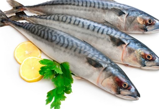 SGOMBRO INTERO 2/3 PZ 20KG