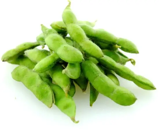 SOIA EDAMAME
