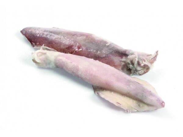 CALAMARI SUD AFRICA XL P.V