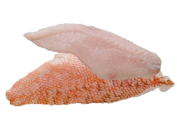 FILETTO DI SCORFANO 5KG