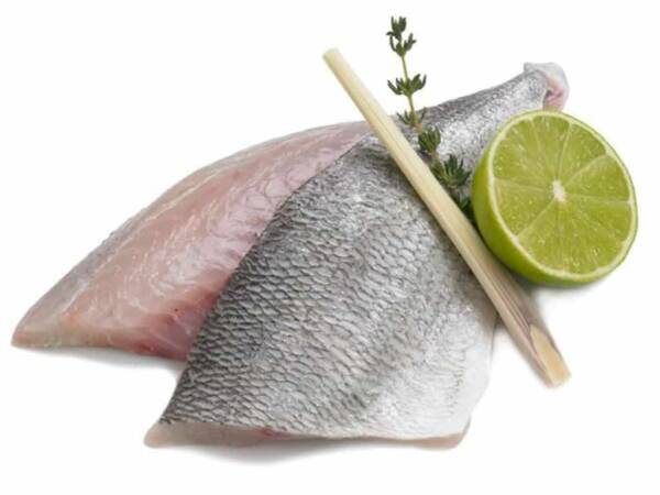 FILETTI DI ORATA 120/160 5KG