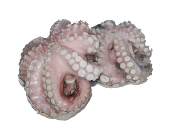 POLPO T7 IQF MAROCCO