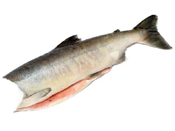 SALMONE DECAPITATO 20,6 KG