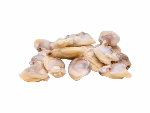 VONGOLE SGUSCIATE  10X1KG