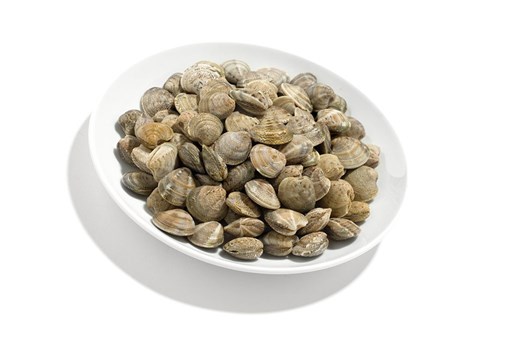 VONGOLE C/GUSCIO PANAPESCA 10x1KG